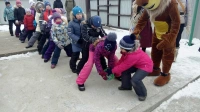 Новогодние приключения со страусами