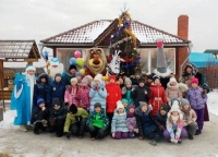 Новогодние приключения со страусами