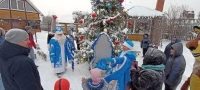 Новогодние приключения со страусами