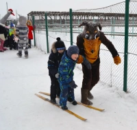 Новогодние приключения со страусами