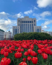 Международный музыкальный фестиваль «Новая волна 2026»:  тур в Казань с билетом на финальный концерт
