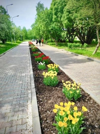 Добрянские добряки и уральские Колпаки