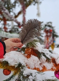 Новогодняя программа на ферме Красавинский хуторок